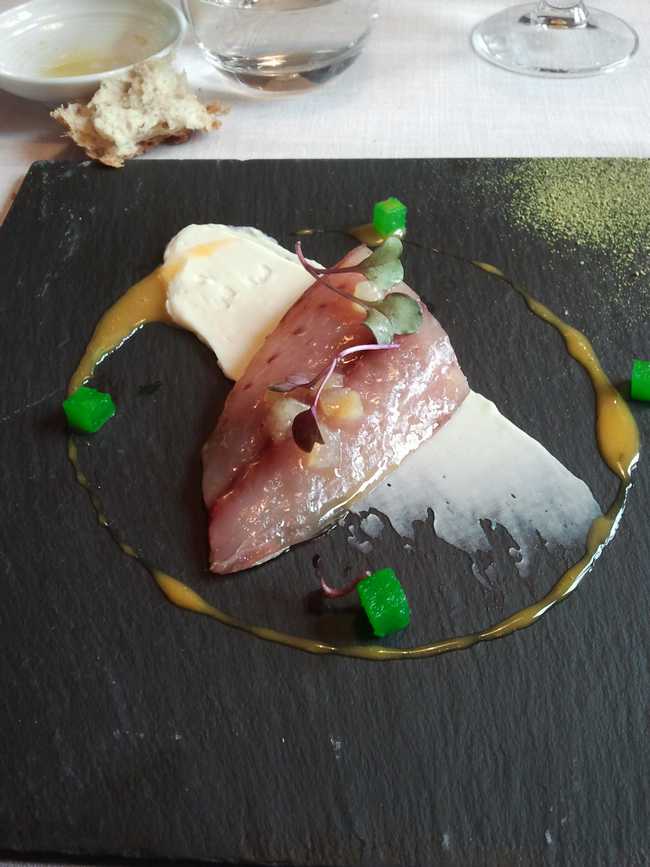 Restaurante en Bilbao Txitxarro ahumado al romero sobre crema de coliflor y gelée de esencia vegetal